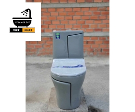 BỒN CẦU MỘT KHỐI ĐEN CHỈ VÀNG